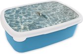 Broodtrommel Blauw - Lunchbox - Brooddoos - Haai in ondiep water - 18x12x6 cm - Kinderen - Jongen