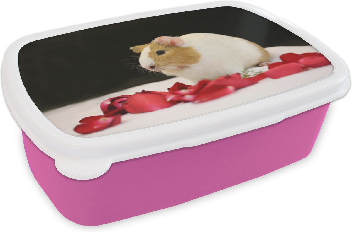 Broodtrommel Roze - Lunchbox - Brooddoos - Lieve cavia - 18x12x6 cm - Kinderen - Meisje