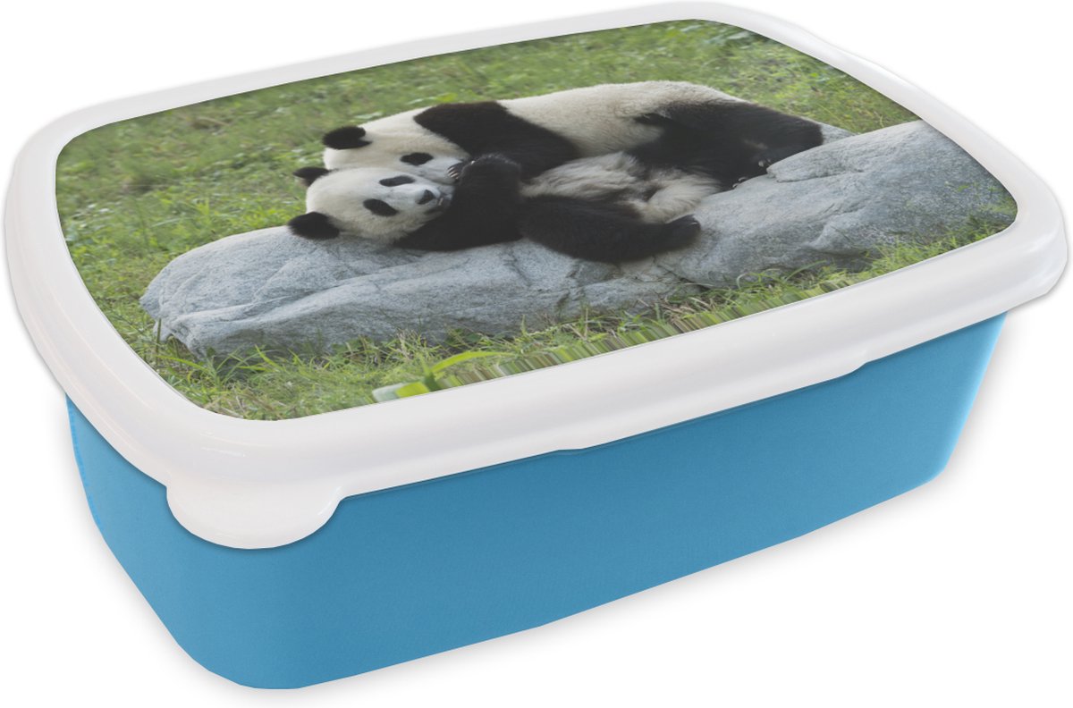 Broodtrommel Blauw - Lunchbox - Brooddoos - Pandas - Gras - Steen - 18x12x6 cm - Kinderen - Jongen