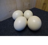 Decoratief Beeld - Samsshop Echte Afrikaans Ei Egg - Steen - - Wit - 13 X 13 Cm