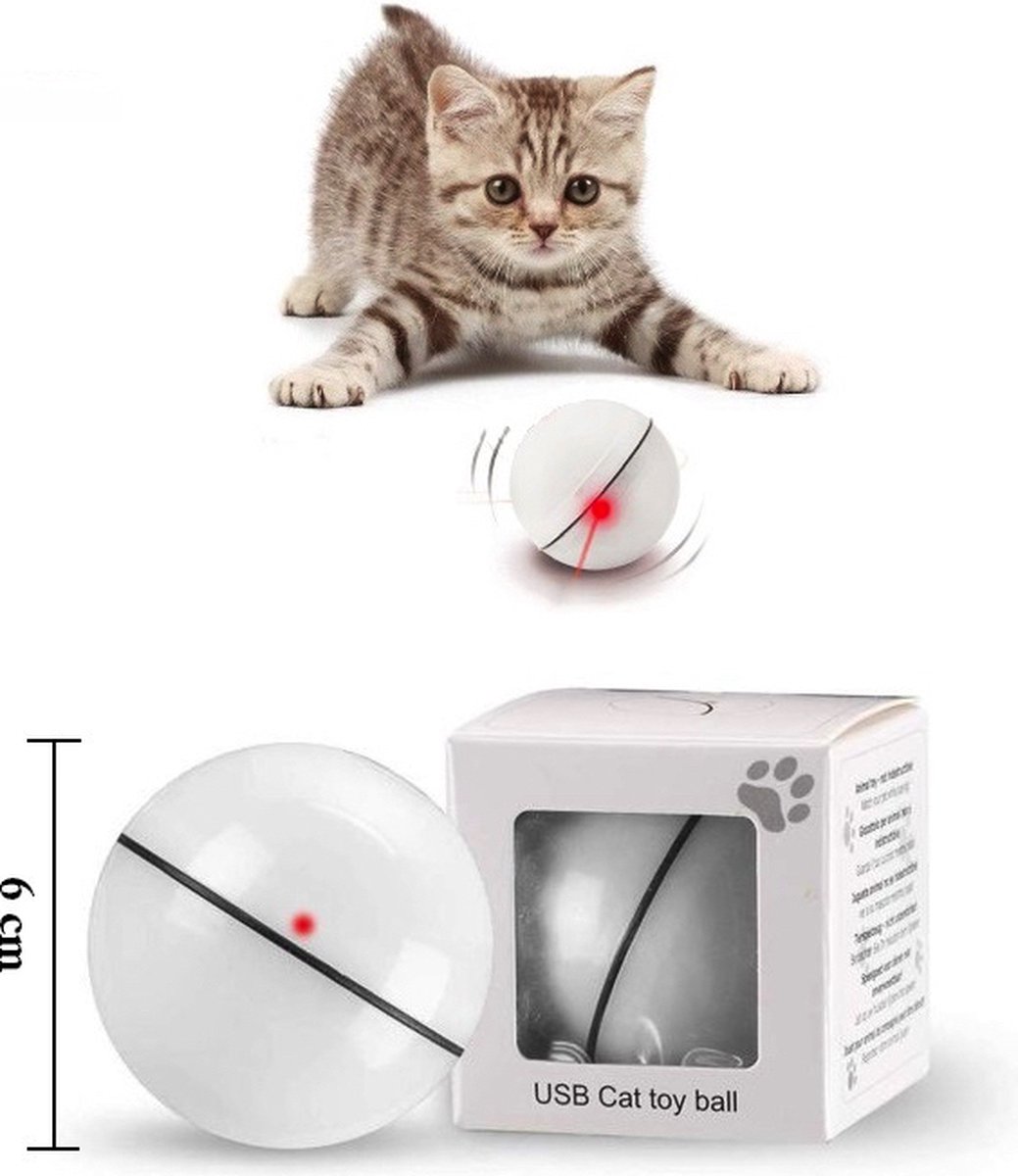 jouet pour chat et petit chien Huisdieren Katten Speeltjes Interactieve speeltjes 