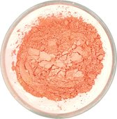 Coral Beach Impact Color Pigment - Vegan - Soap/Bath Bombs/Lipstick/Makeup/Lipgloss Sample