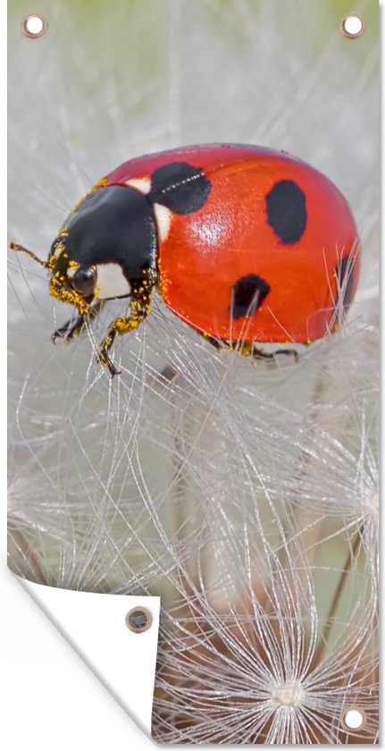8 Décorations Coccinelle Métal Pour Jardin - Ensemble 3D Rouge, Résistant Intempéries, Accroche Facile
