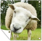 Tuinposters Schaap - Gras - Boom - 50x50 cm - Tuindoek - Buitenposter