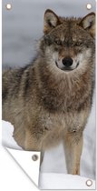Tuinposter Wolf - Sneeuw - Dieren - 30x60 cm - Tuindoek - Buitenposter