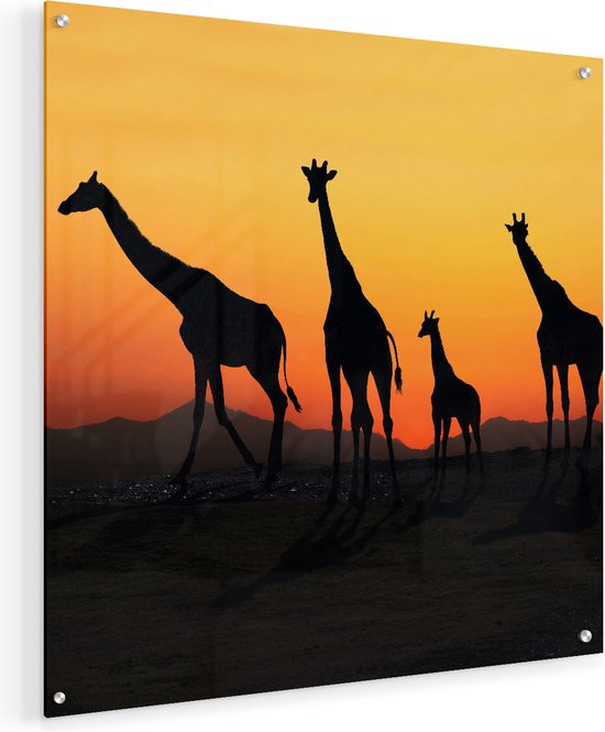 Artaza Glasschilderij - Vier Giraffe Silhouetten Bij Zonsondergang - Plexiglas Schilderij - Foto op Glas