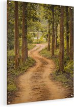 Artaza Glasschilderij - Pad In Het Bos Met Bomen - 60x75 - Plexiglas Schilderij - Foto op Glas