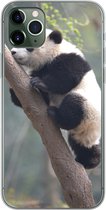 Geschikt voor iPhone 11 Pro Max hoesje - Panda - Dier - Boom - Siliconen Telefoonhoesje