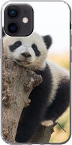 Geschikt voor iPhone 12 hoesje - Panda - Boom - Licht - Siliconen Telefoonhoesje