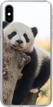 Geschikt voor iPhone Xs hoesje - Panda - Boom - Licht - Siliconen Telefoonhoesje