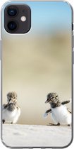 Geschikt voor iPhone 12 mini hoesje - Jongen - Zand - Vogels - Siliconen Telefoonhoesje