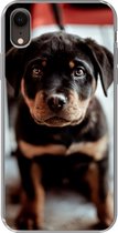 Geschikt voor iPhone XR hoesje - Jong - Hond - Camera - Siliconen Telefoonhoesje