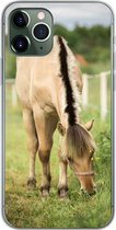 Coque iPhone 11 Pro - un cheval du fjord dans un champ d'herbe - Siliconen