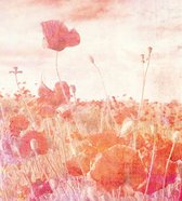 Fotobehang - Poppies Abstract 225x250cm - Vliesbehang