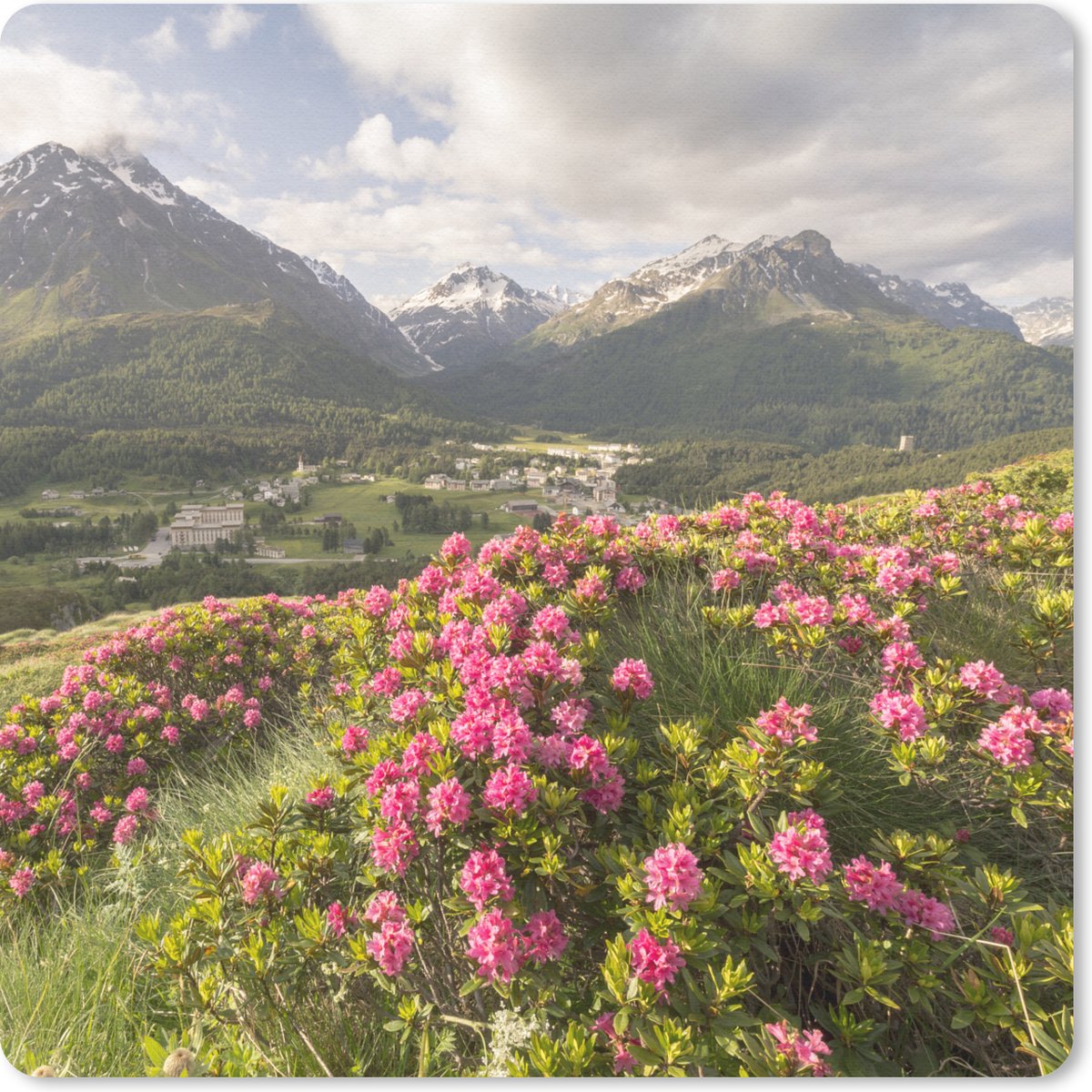 Muismat 30x30 cm - Mousepad Bloemenweide - Bergen - Roze - Muismatten