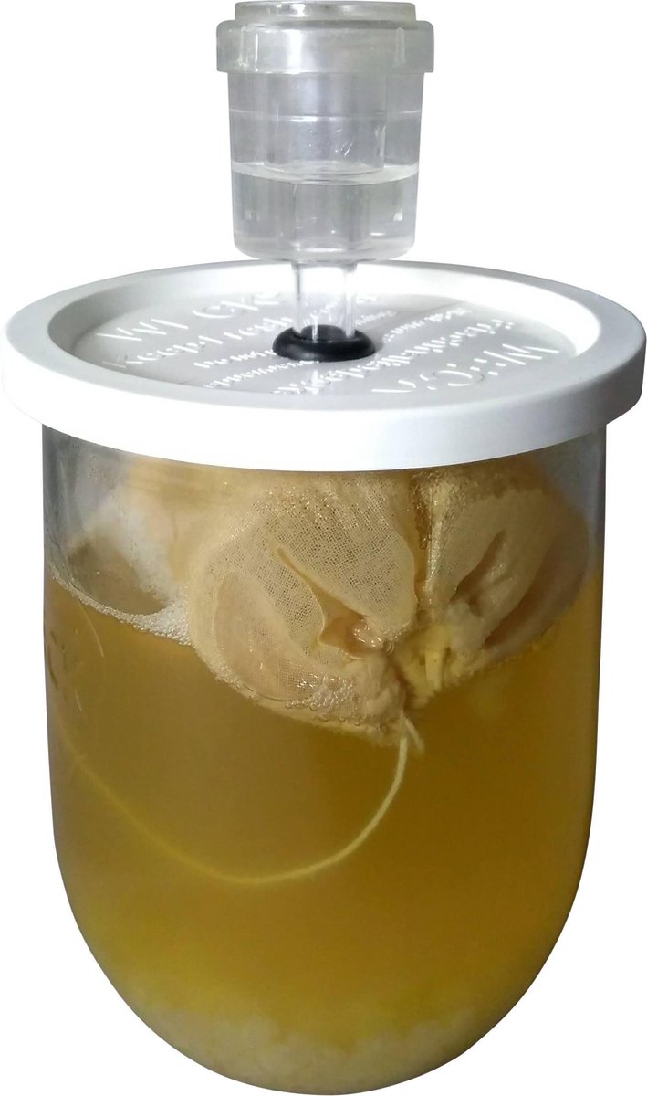 Kefirshop - Weck- en fermentatiepot met driedelig waterslot, 1 liter