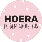 Paas Sticker - Sluitsticker - 8 assorti - Sluitzegel Pasen - Happy Easter - Paaseieren - Eitjes - Ei - Konijn | Kaart - Envelop | Fijne Paasdagen - Paasfeest | Kids - Kind | Envelo