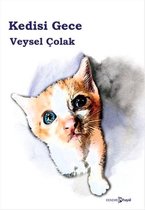 Kedisi Gece