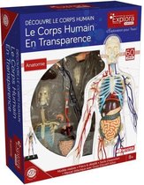 MGM - Explora - Transparante anatomie van het menselijk lichaam - Anatomie-experiment