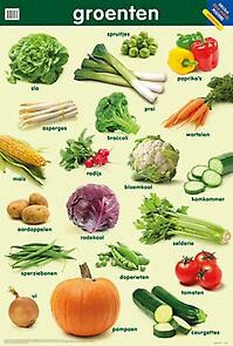Educatieve posters - Groenten