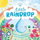Picture Flats- Nature Stories: Little Raindrop