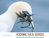 Iconic Sea Birds