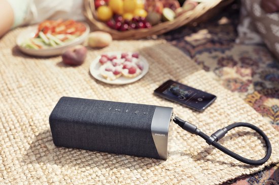 TAS5505 van Philips Sound — afbeelding 4