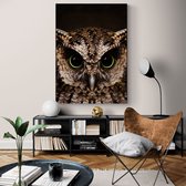 Artistic Lab Poster - Owl - 70 X 50 Cm - Multicolor