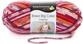 Bravo Big  Color  Kleur  00093