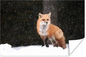 Vos in een sneeuwbui Poster 120x80 cm - Foto print op Poster (wanddecoratie woonkamer / slaapkamer) / Wilde dieren Poster