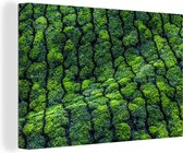 Peintures sur Toile - Plantations de Thé Inde - 150x100 cm - Décoration murale