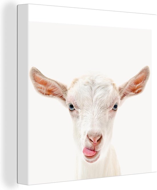 Toile Peinture Animaux - Chèvre - Wit - 90x90 cm - Décoration murale