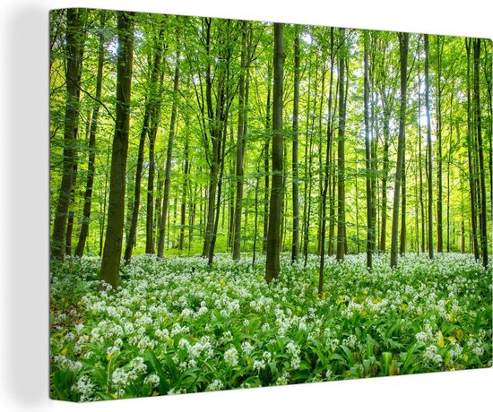 Canvas Schilderij Bos - Bomen - Wanddecoratie