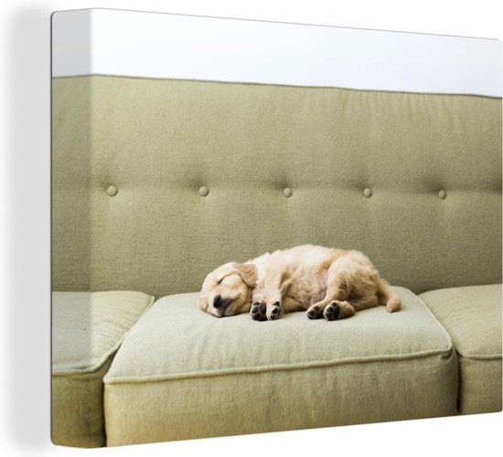 Canvas Schilderij Slapende puppy op de bank - 40x30 cm - Wanddecoratie
