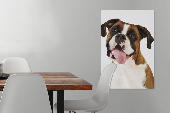 Boxer avec langue sur toile 60x90 cm - Tirage photo sur toile (Décoration murale salon / chambre) / Peintures sur toile pour Animaux domestiques