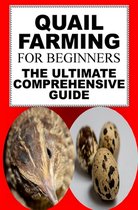 Quail Farming For Beginners