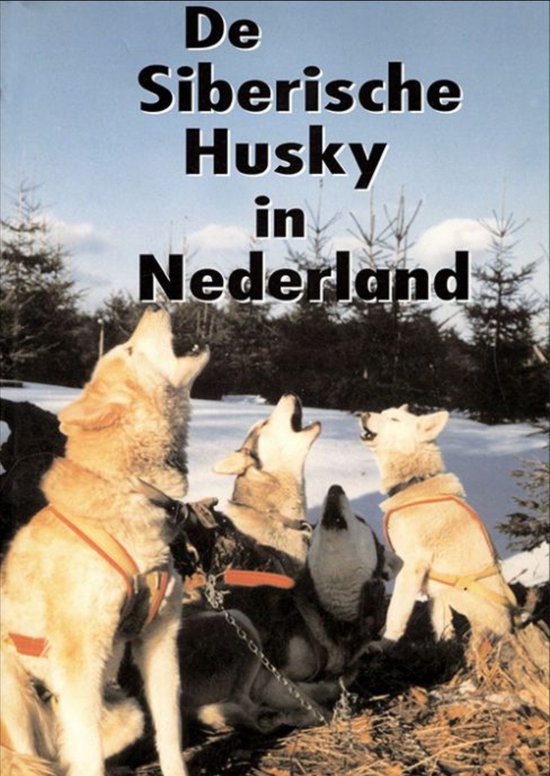 De Siberische Husky in Nederland