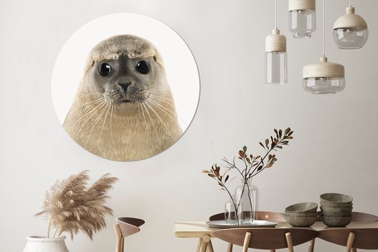 Papier peint Circle - Phoque - Beige - Animaux - ⌀ 120 cm - Wall Circle XXL