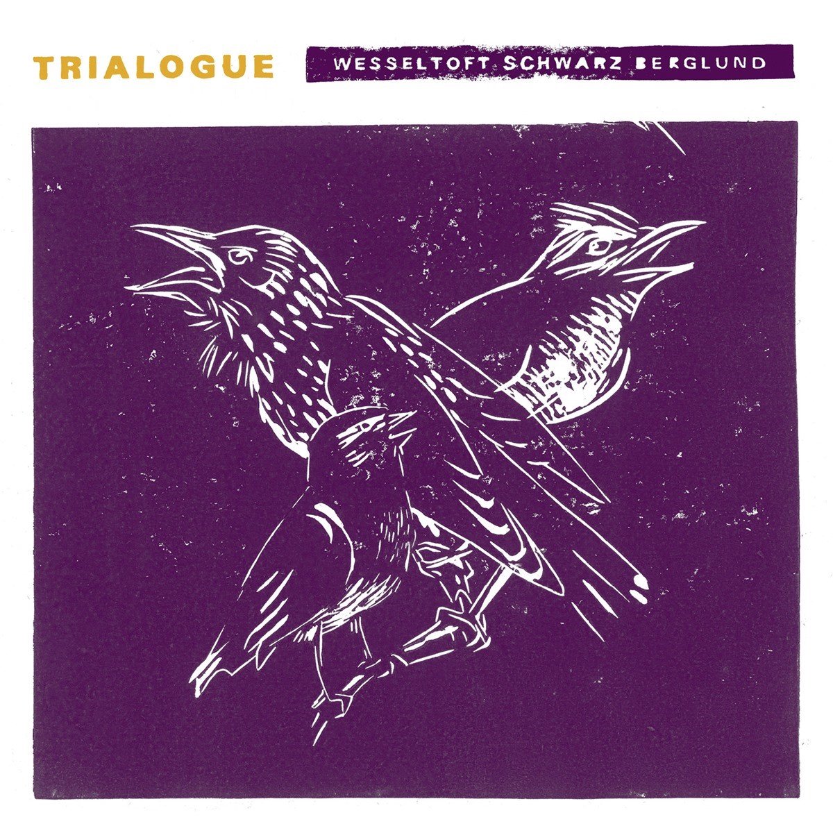 Bugge Wesseltoft, Henrik Schwarz, Dan Berglund - Trialogue (CD)