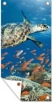 Tuinposter Koraalrif met schildpad - 30x60 cm - Tuindoek - Buitenposter