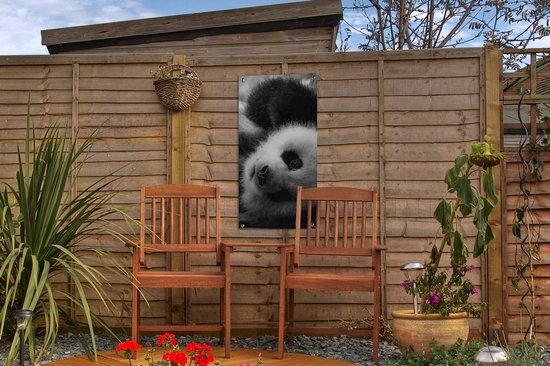 Tuinposter 30x60 cm - Tuindecoratie Dierenprofiel rollende panda in zwart-wit - Poster voor in de tuin - Buiten decoratie - Schutting tuinschilderij - Tuindoek muurdecoratie - Wanddecoratie balkondoek