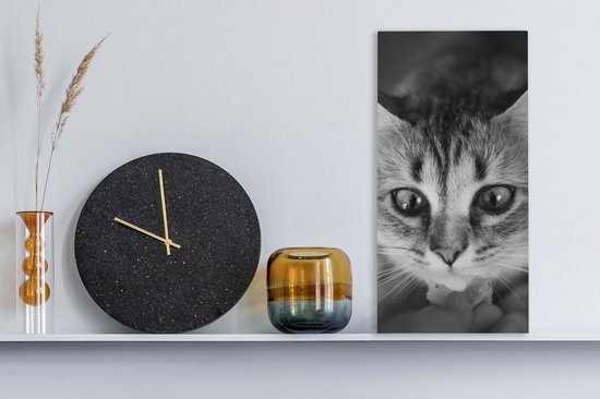 Tableau sur toile représentant un chat reniflant, de profil, en noir et blanc - 20 x 40 cm - Décoration murale