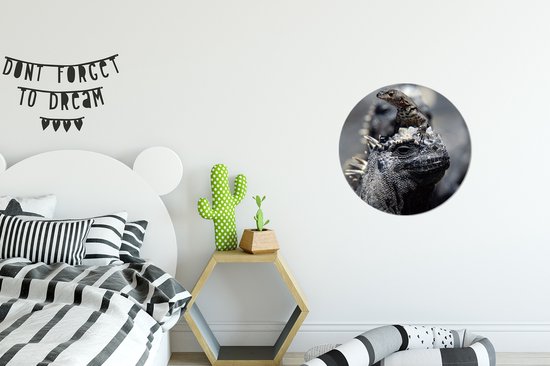 WallCircle - Tableau - Iguane Famille Et - Multicolore - 30 X 30 Cm