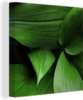 Canvas Schilderij Close-up van groene botanische bladeren - 90x90 cm - Wanddecoratie