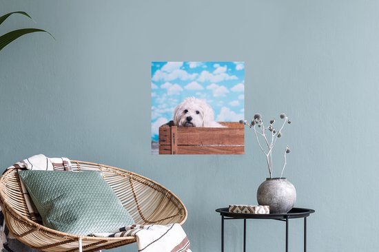 Stickers Stickers muraux - Chien maltais dans une caisse en bois - 30x30 cm - Film adhésif