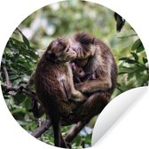 Famille de singes sur une branche Sticker mural cercle mural ⌀ 120 cm / cercle papier peint / cercle mural / cercle vivant - auto-adhésif et découpe ronde