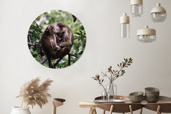 Famille de singes sur une branche Sticker mural cercle mural 100x100 cm / cercle de papier peint / cercle mural / cercle vivant - autocollant et coupe ronde
