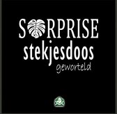 Surprisedoos 5xStekjes - kamerplanten - geworteld - groene - stekjes - babyplantjes