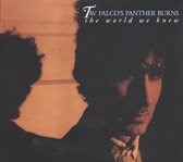 Tav Falco & The Panther Burns - The World We Knew + Shake Rag (2 CD)