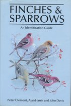 Finches & sparrows